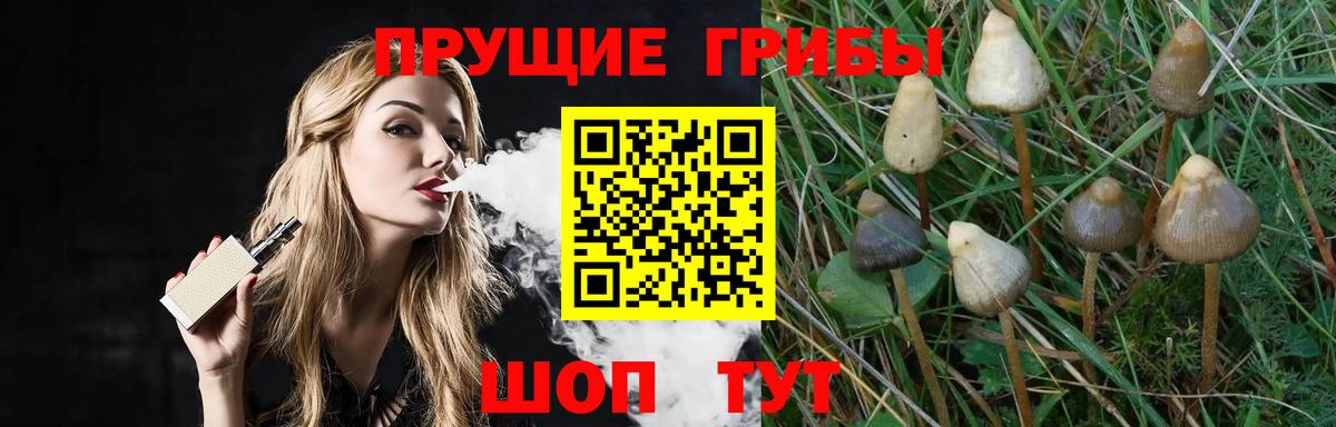 Псилоцибиновые грибы Magic Shrooms Саров