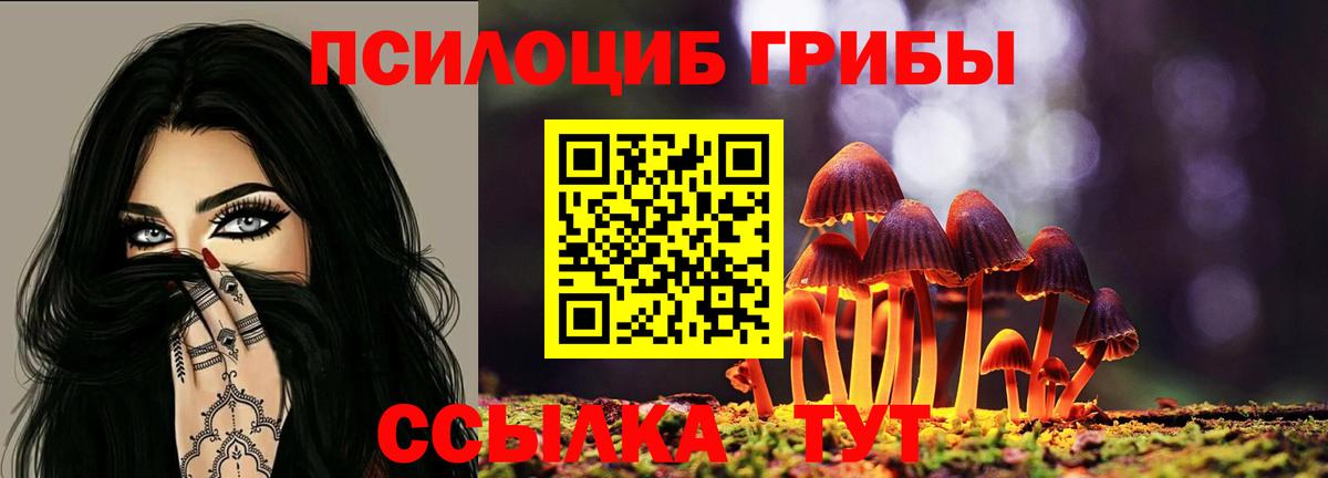 Псилоцибиновые грибы ЛСД  Вход с VPN  Саров 